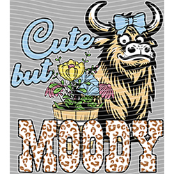 Cow-NIU 2368
